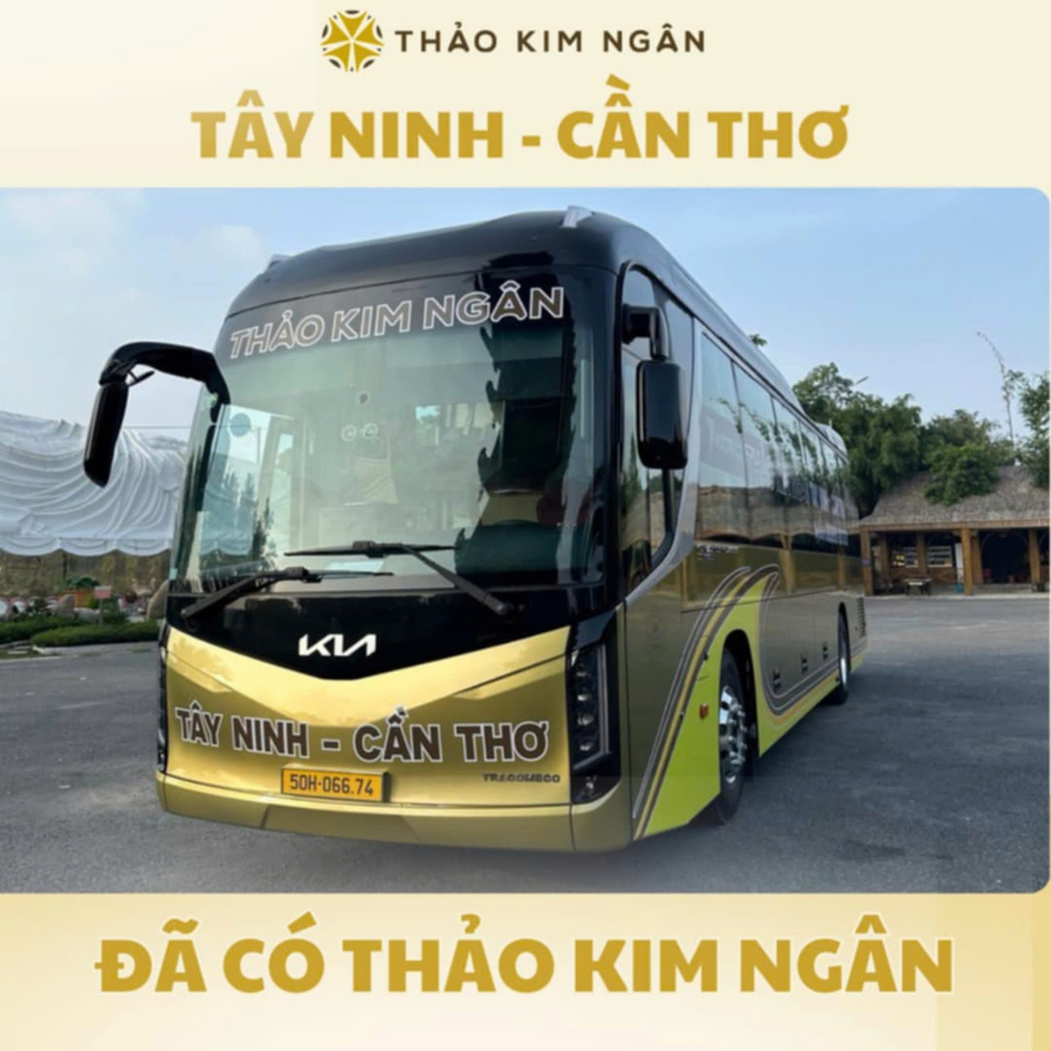 Hình lớn